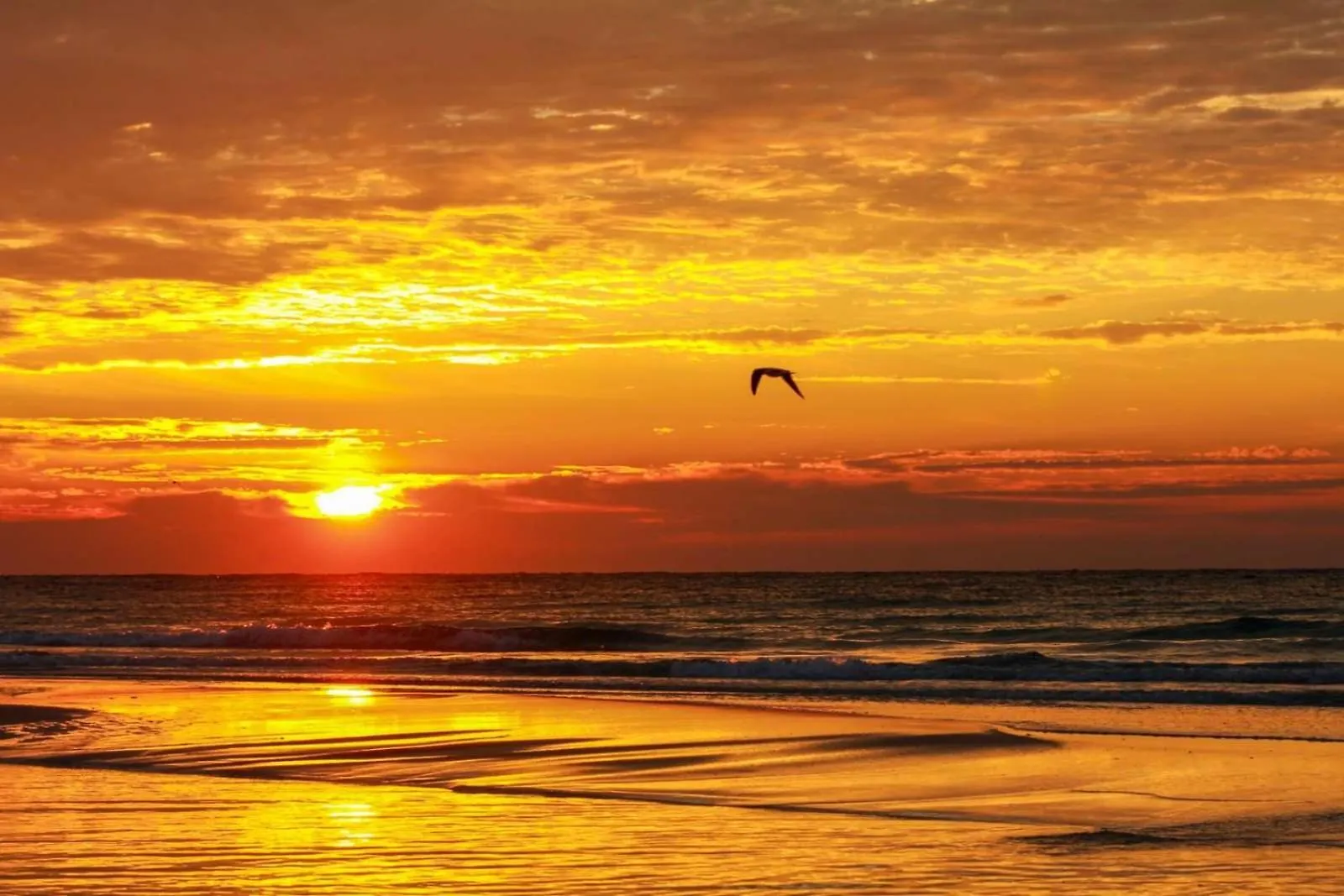 1113 Ltw Apartment Panama City Beach 0*,  United States
