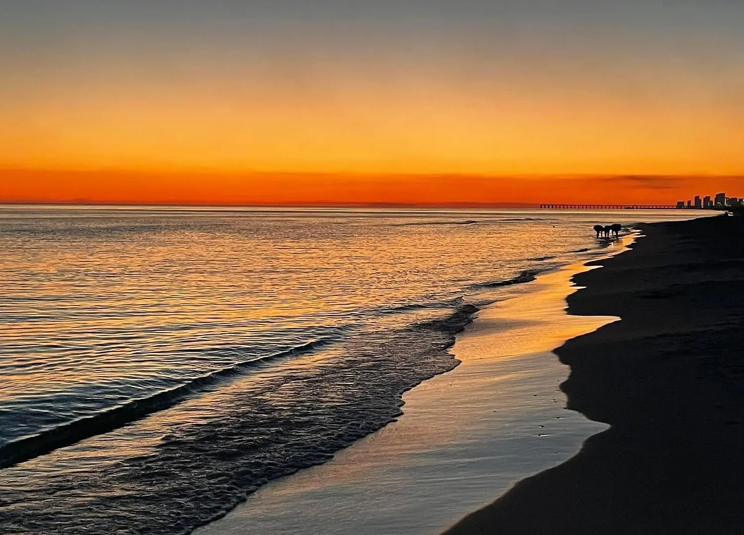 1113 Ltw Apartment Panama City Beach